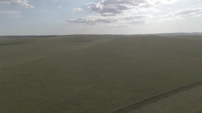 【4K 60p】内蒙古呼伦贝尔自然草场