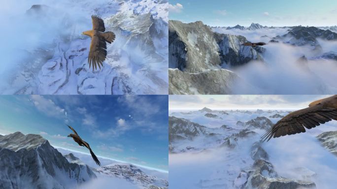 飞过雪山的雄鹰