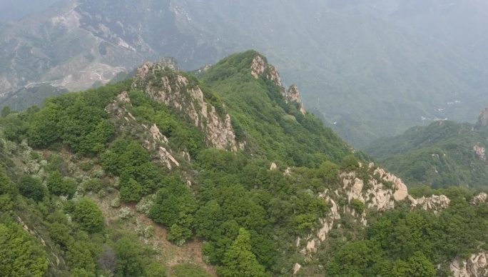 保定 阜平县 神仙山 大山 树林