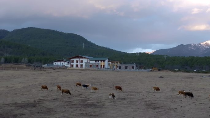 香格里拉扎西牧场高原湖泊航拍