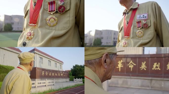 老兵 敬礼 志愿军 扫墓 战争 抗战奖章