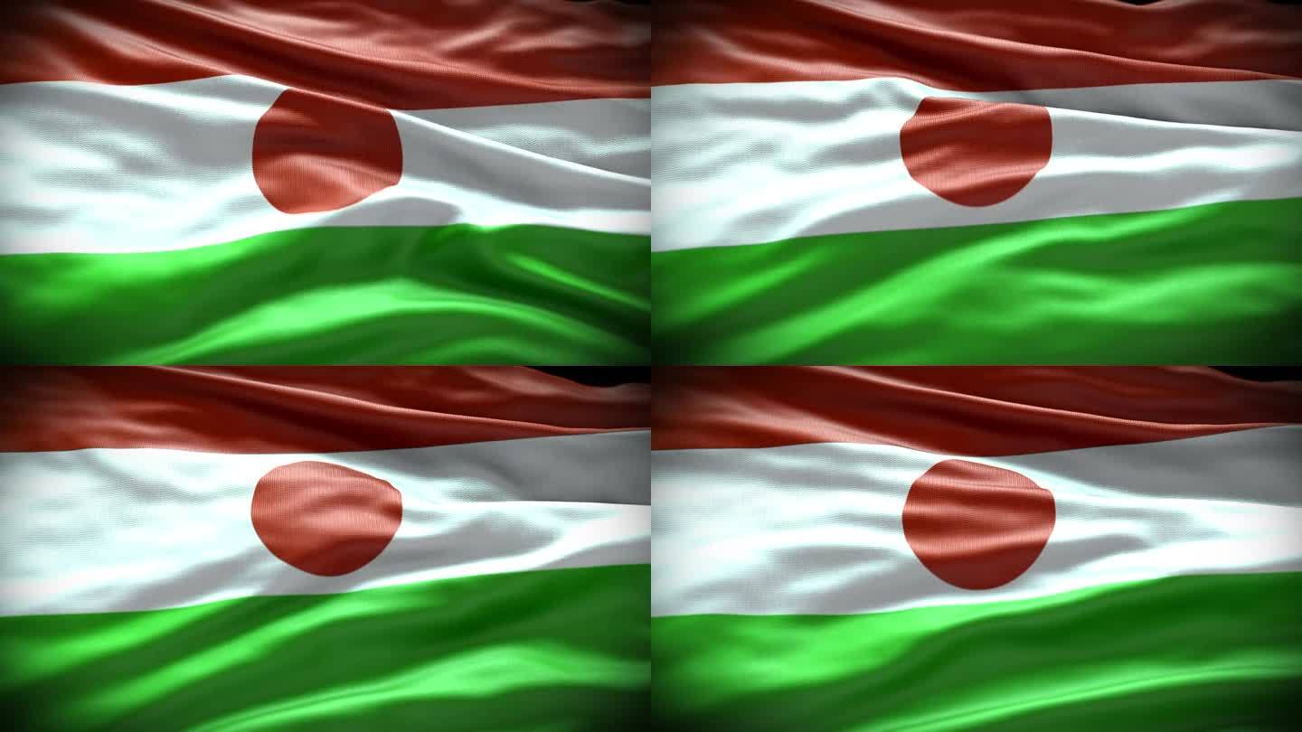 尼日尔国旗4K分辨率股票视频