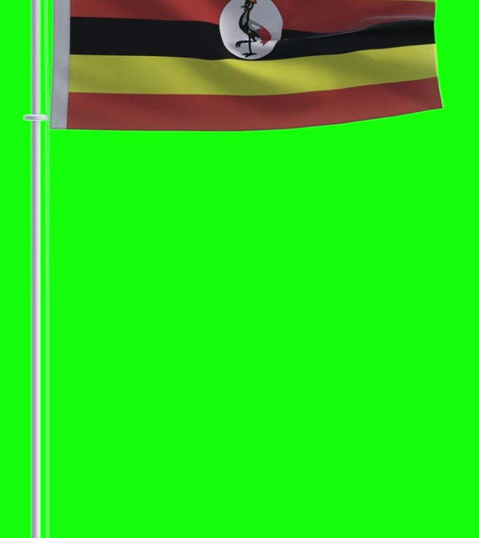 在色度键背景上的乌干达国旗
