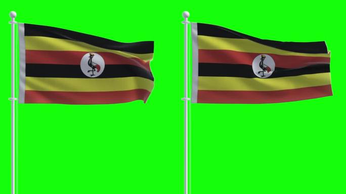 在色度键背景上的乌干达国旗