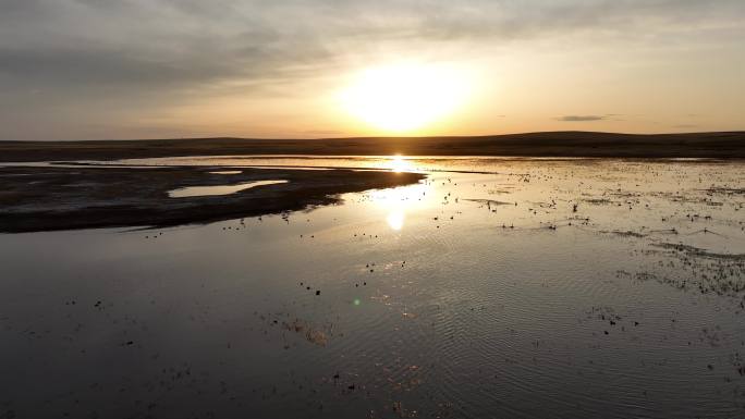 湖泊夕阳飞鸟