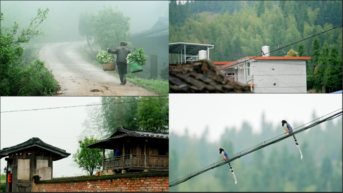 下雨的山村 老人挑担 古建筑下雨