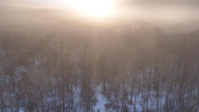 曙光照耀冻雾迷漫的林海雪原