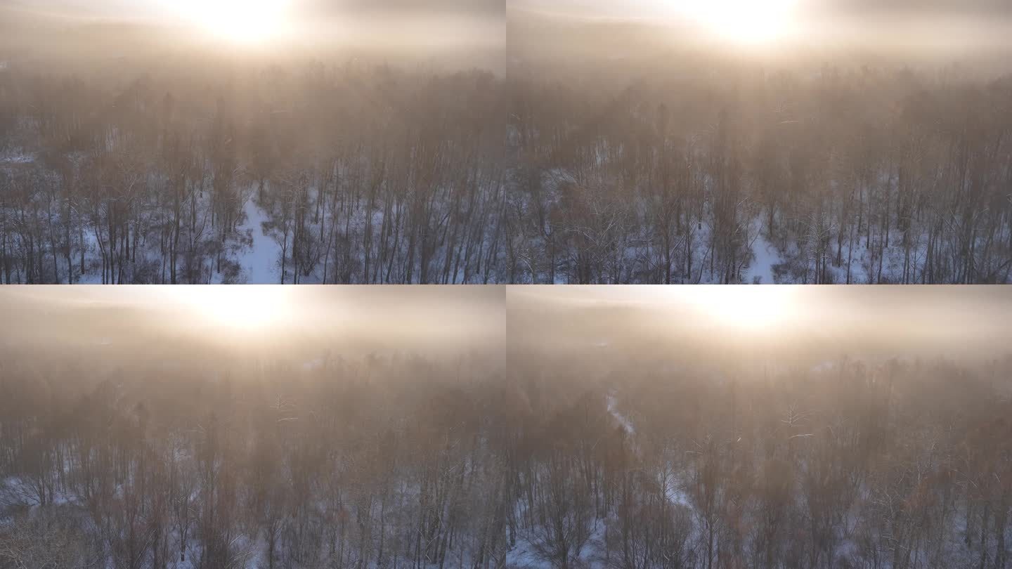 曙光照耀冻雾迷漫的林海雪原