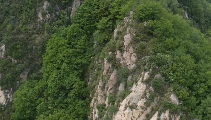 保定 阜平县 神仙山 大山 树林