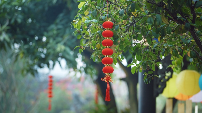 4k春节立春过年红灯笼高挂中国风古桂花树