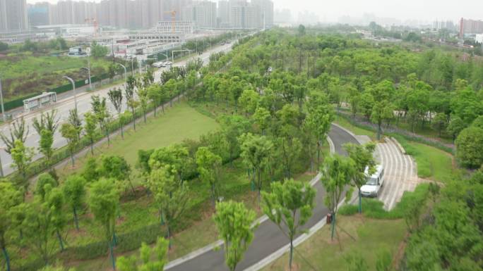 武汉白沙洲烽火游园公园园林植被花海航拍