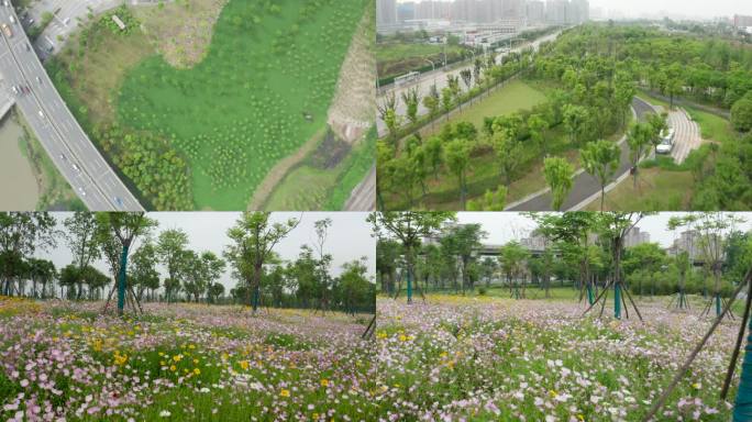 武汉白沙洲烽火游园公园园林植被花海航拍