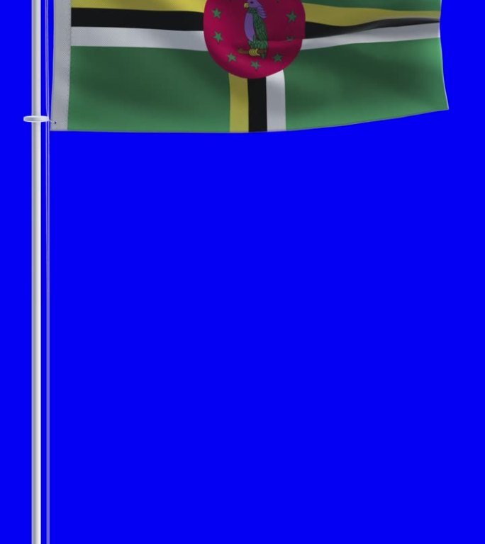 在色度键背景上的多米尼加国旗