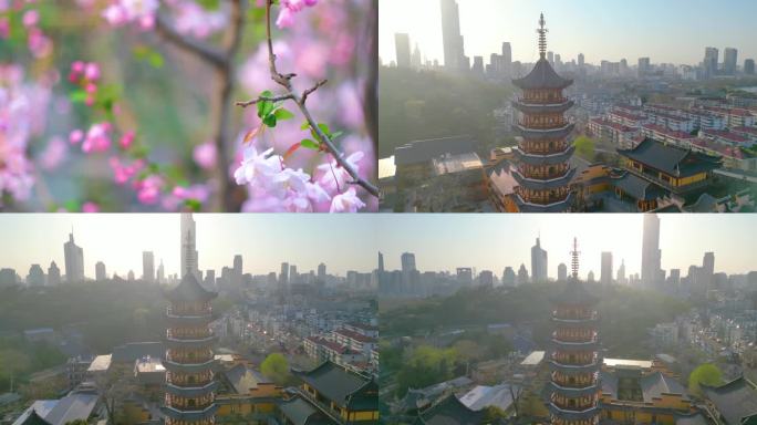 南京玄武区玄武湖景区古鸡鸣寺游客观赏樱花