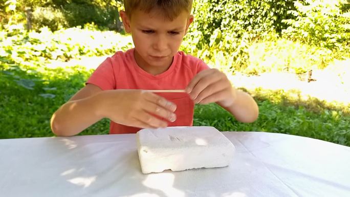 男孩热衷于考古发掘，坐在大自然的餐桌旁。小孩在挖掘藏在石膏里的恐龙遗骸或昆虫。年轻的古生物学家正在玩