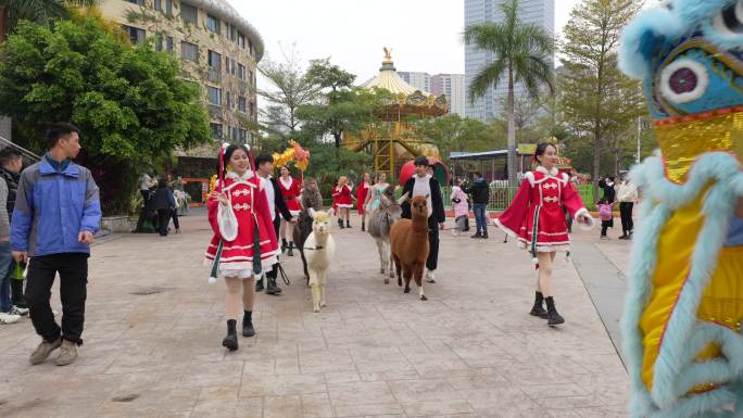 厦门灵玲马戏城