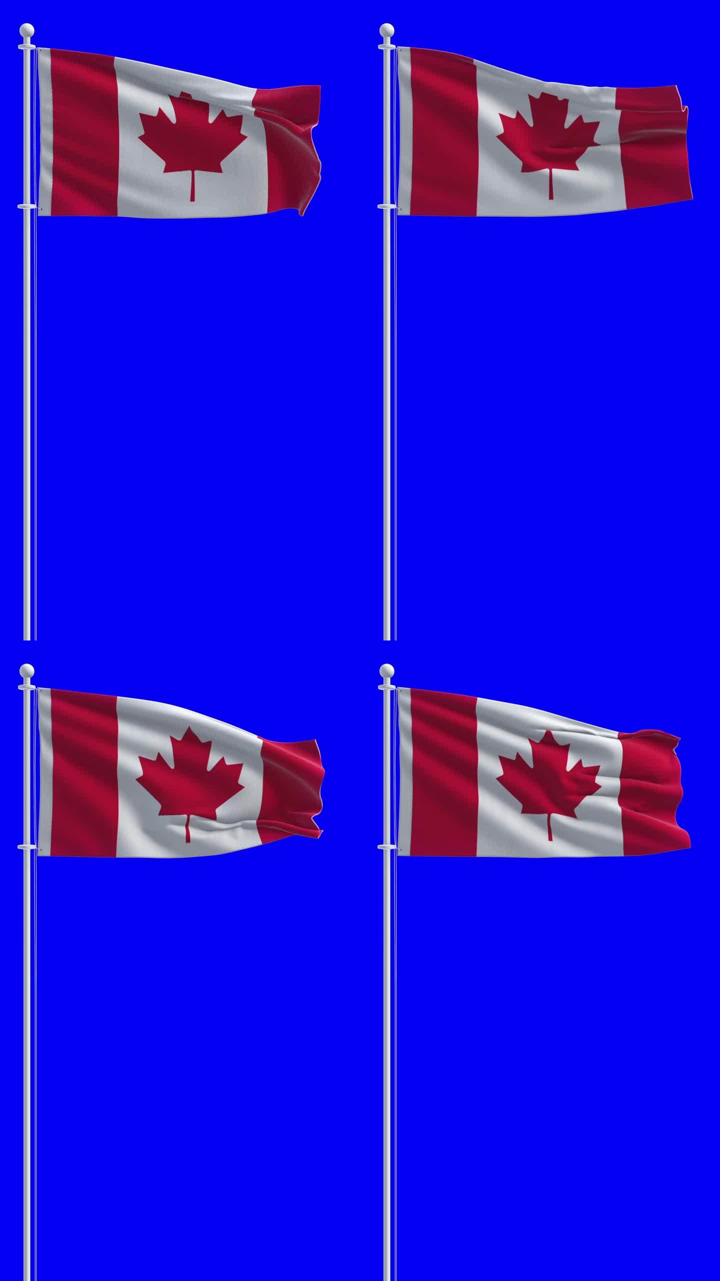 在色度键背景上的加拿大国旗