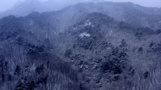 辽宁鞍山千山景区雪松雾松航拍-3