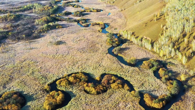 呼伦贝尔高山湿地哈乌尔河