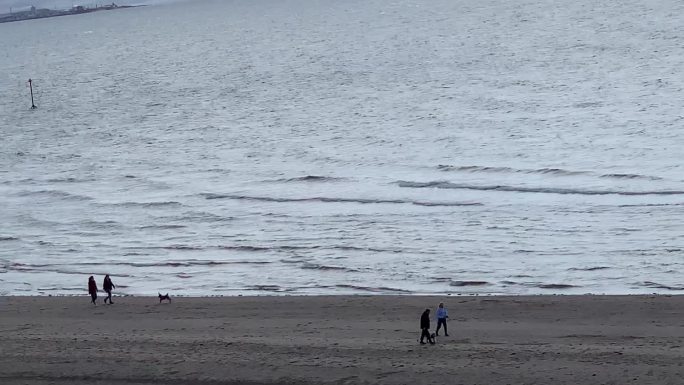 海边随拍 沙滩跑步的狗
