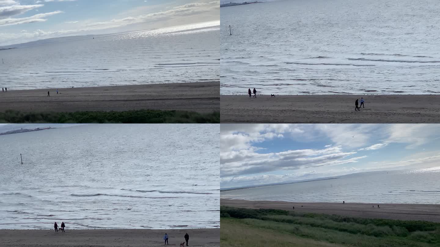海边随拍 沙滩跑步的狗