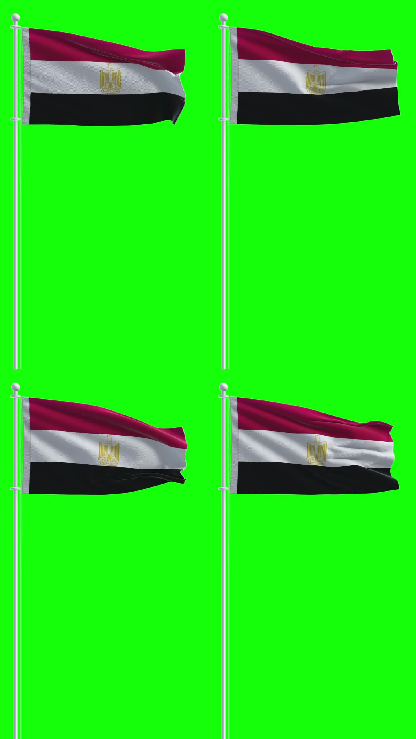 在色度键背景上的埃及国旗