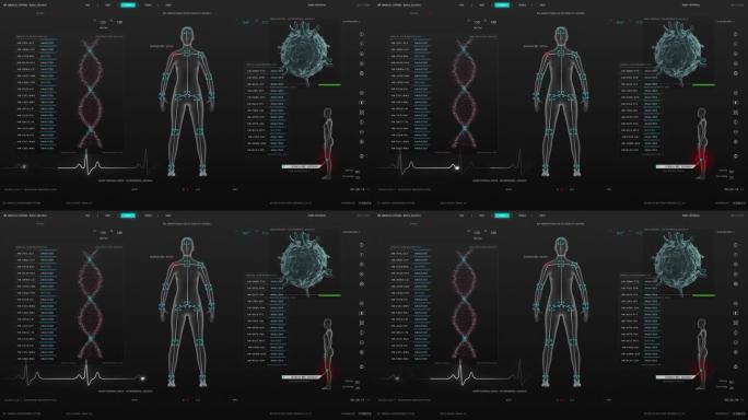 医学研究环境软件模板与DNA分析和女性身体扫描结果的计算机显示器和笔记本电脑屏幕。未来医疗保健和生物