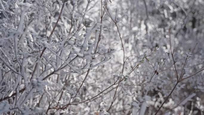 雪后山中空镜 下雪空镜