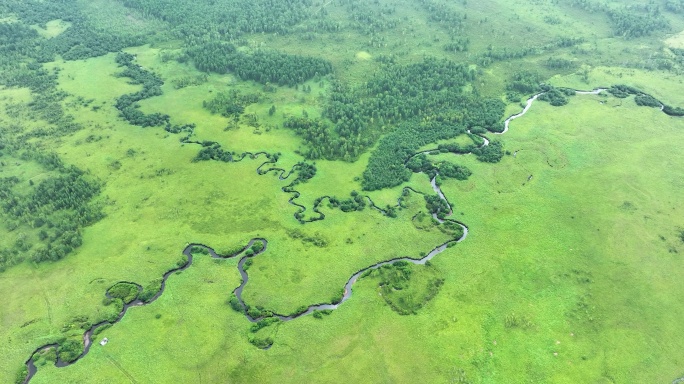 呼伦贝尔高山湿地哈乌尔河