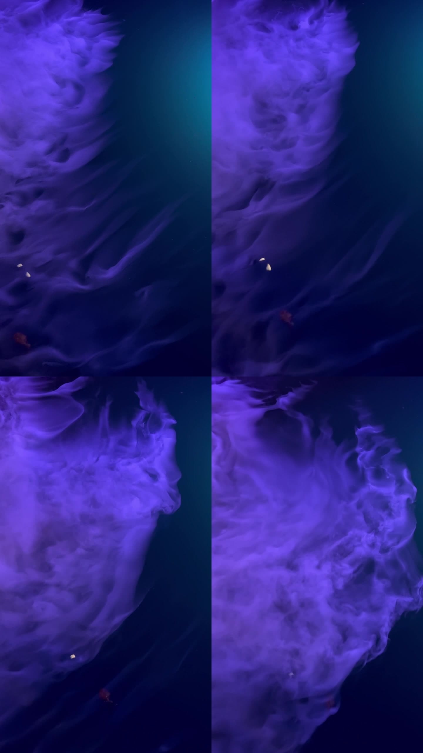 紫色的烟从水面升起。