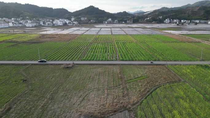 美丽乡村 宁静小村庄 春耕时节春分