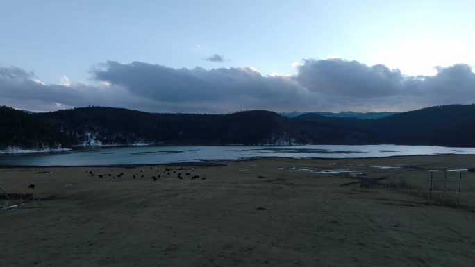 香格里拉扎西牧场高原湖泊航拍