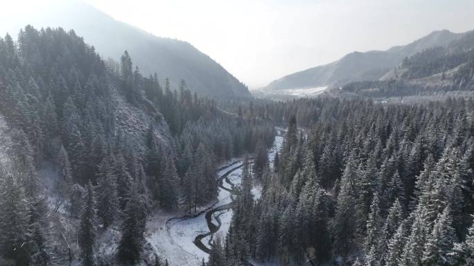 森林公园雪景航拍