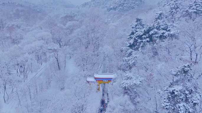 辽宁鞍山千山景区雪松雾松航拍-15