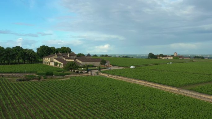 俯瞰法国葡萄园，法国