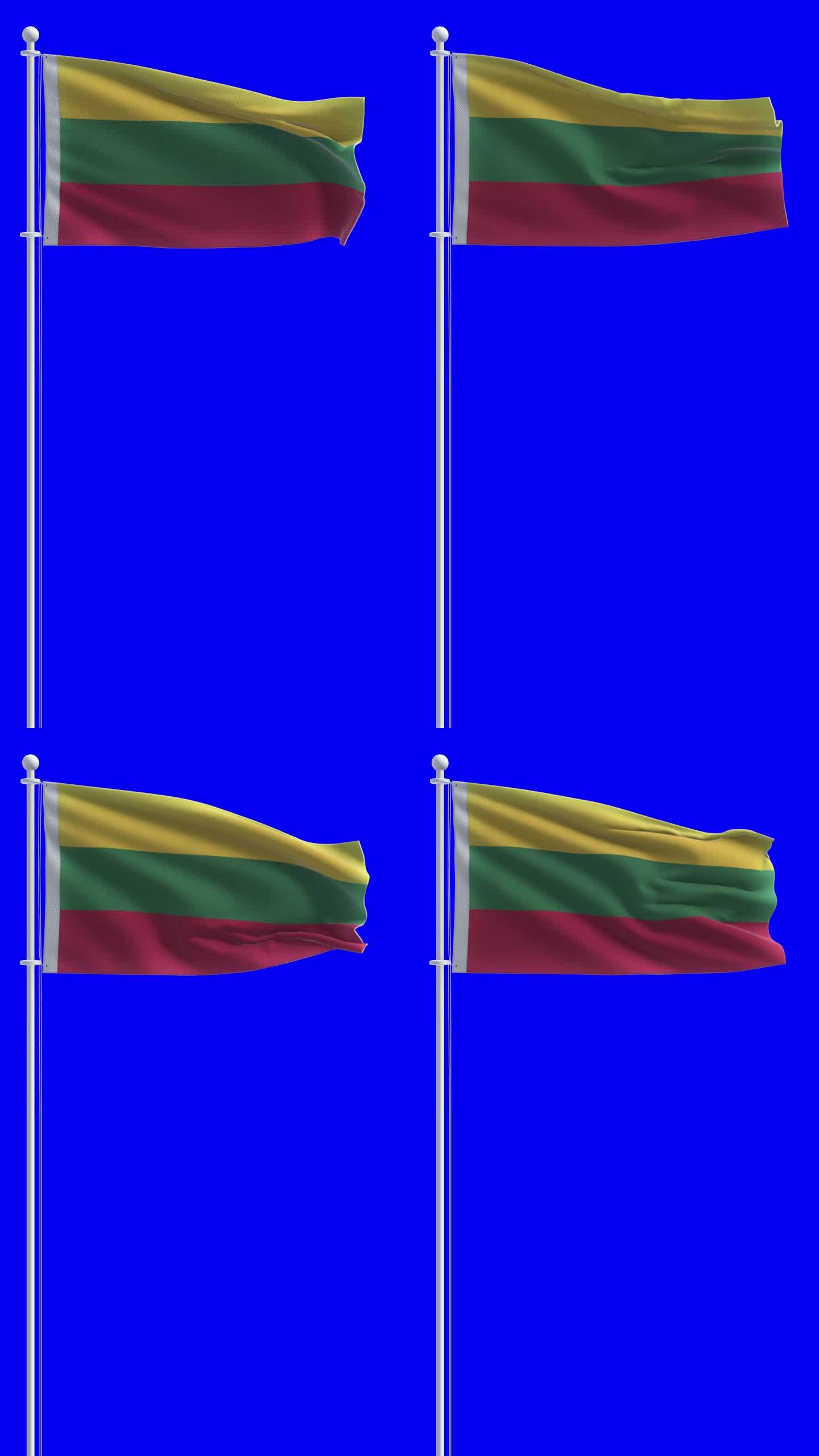 在色度键背景立陶宛国旗