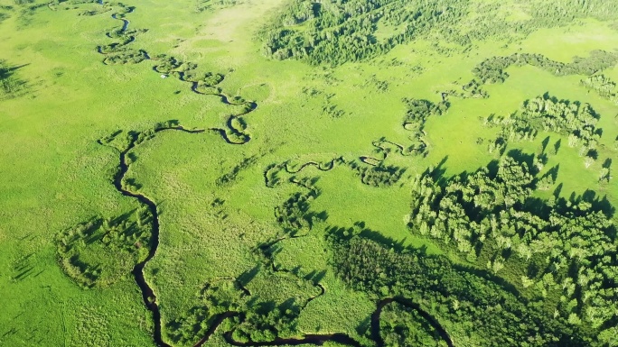 呼伦贝尔高山湿地哈乌尔河