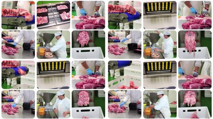 肉类加工厂-多屏幕视频