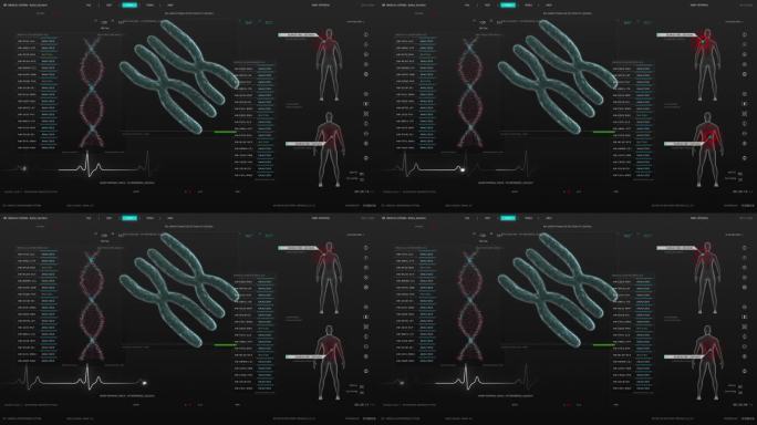 样品分析软件模型与三维DNA和染色体结构和载体。用于科学遗传研究和生物技术开发的计算机显示器和笔记本