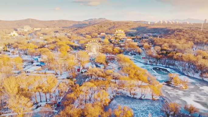 辽宁鞍山二一九公园冬季雪景风景-45