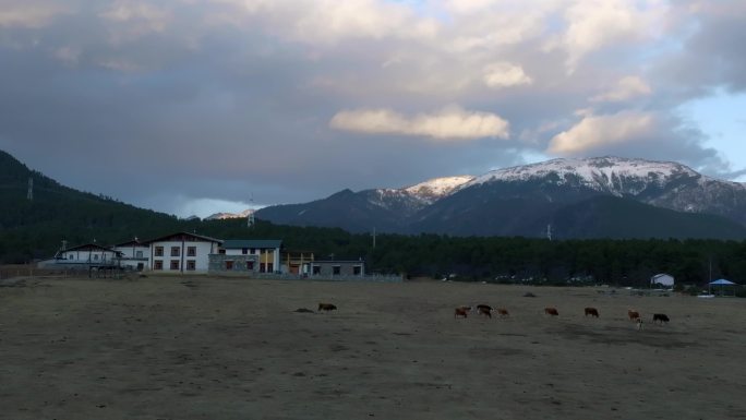 香格里拉扎西牧场高原湖泊航拍