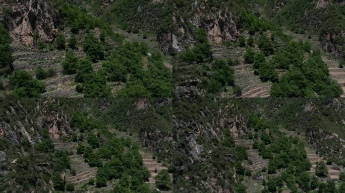 河北 保定 阜平县 神仙山 大山 树林