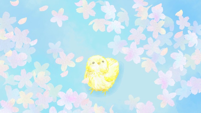 一个小鸡仰望盛开的樱花的循环动画。