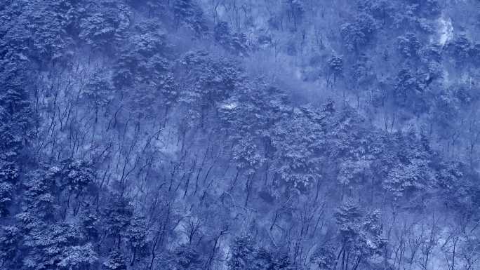 辽宁鞍山千山景区雪松雾松航拍-11