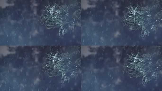 雪打在树枝上4K