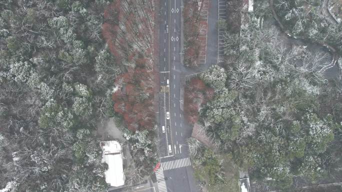 杭州虎跑路雪景4k超清