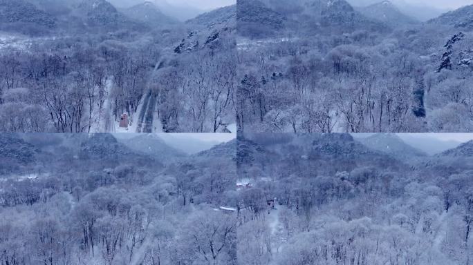 辽宁鞍山千山景区雪松雾松航拍-18