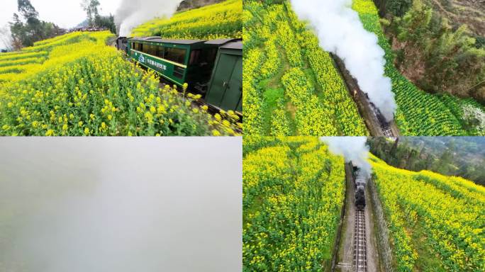嘉阳小火车 开往春天的小火车