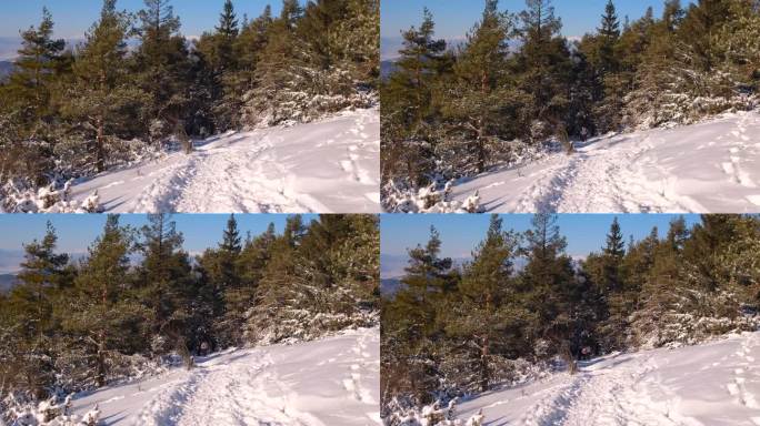 从这座白雪皑皑的山顶望去，景色真美