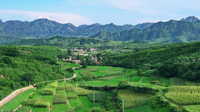 生态宜居 美丽山村 春天 绿色 天然氧吧